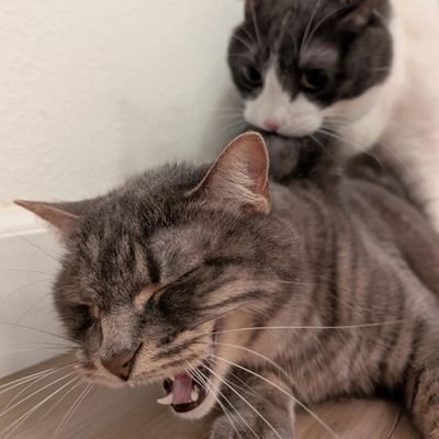 1x0x2xx0's profile picture. clueless