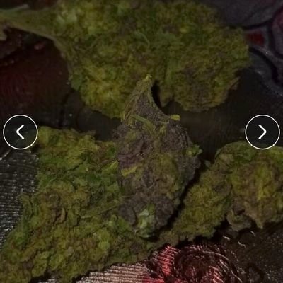 EnteteSalama's profile picture. I'm from Seychelles a small paradise 🏝