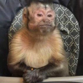 tannyfannyy's profile picture. i just burst out queefing | straight