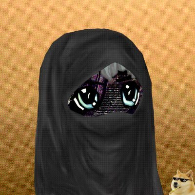 AltcoinMon's profile picture. flying around the world, crypto maxi, content creator