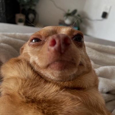 ecignowad's profile picture. Architect | ar.nu19 amateur photographer