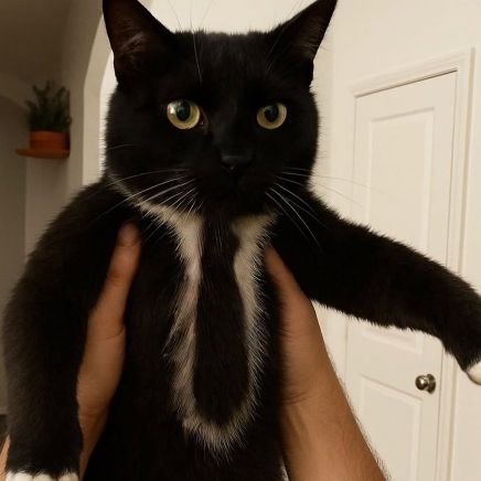 cristianocho's profile picture. Abogado de familia y Periodista multimedia, esta es mi libreta digital pública.