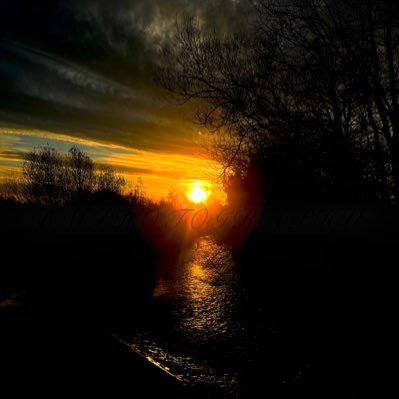 bbaillie45146's profile picture. 