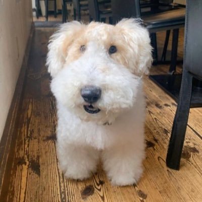 qllpqq's profile picture. fuuuuuck