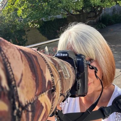 StephMurphy66's profile picture. Devon birder and artist. Birds, bees, butterflies, bugs & flowers. Engaging with nature as much as possible. Lover of all things Mod/60’s