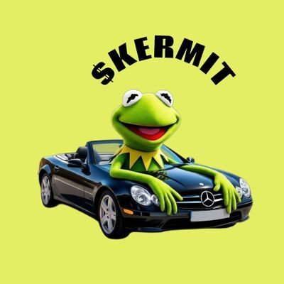 flickyvicky's profile picture. Web 3 researcher | Narrative trader | Community Manager | Chelsea FC | $Kermit Maxi