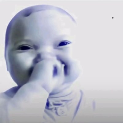 rosebluete's profile picture. 😂