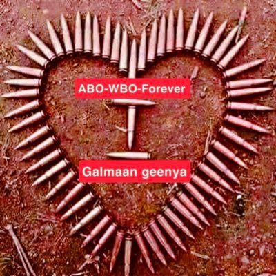 Barii_Bilisumma's profile picture. @Barii Bilisummaa 🐅 official ABO-WBOn abdiif gaachana sabati🌳 ⏰️Oromiyan Biyya 🔊 🐅Freedom Fighter🌍