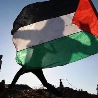 sjy20543675376's profile picture. Palestine is my country and we will remain in my homeland until Palestine is liberated from the vile occupiers.