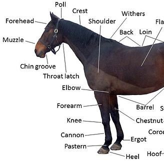 bonnibloop_'s profile picture. 21 . the eponymous logic pro . imissmywives @vamptwinkC and @Exjacey