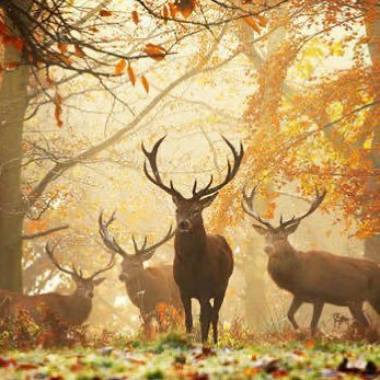 AndyVolkenant's profile picture. “Look deep into nature, and then you will understand everything better.”  ― Albert Einstein