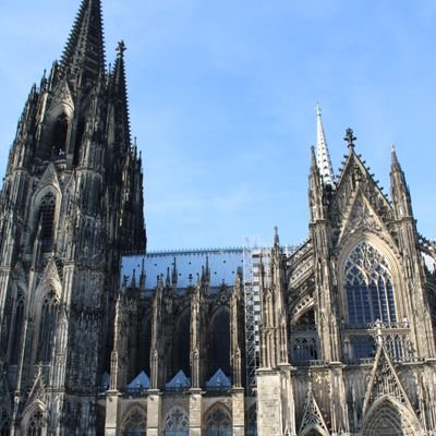 GUngureanu70341's profile picture. 