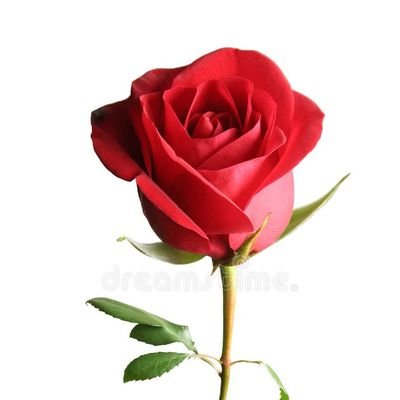 SJP74's profile picture. 