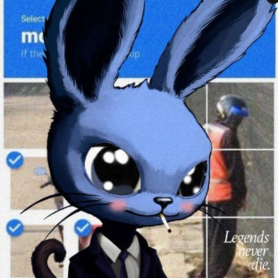 medusaeth0x's profile picture. megaETH maxi obviously