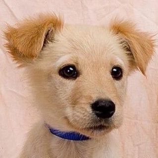 ToddDiehl5's profile picture. Genuine