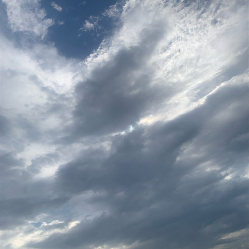 NicardoDixcn2's profile picture. 