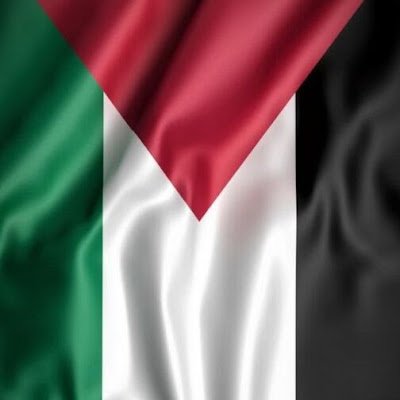 abd_almottaleb's profile picture. 