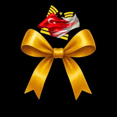 VeliNatla's profile picture. 