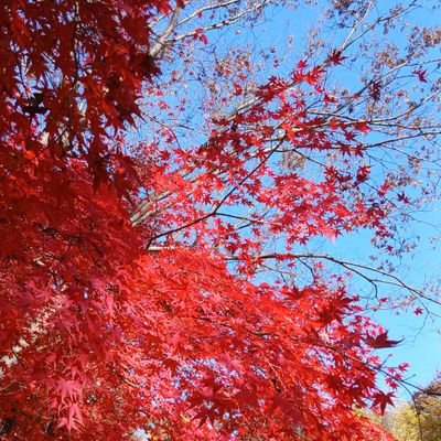 manoniKim4's profile picture. ♡천주교 미리내성지 가을 단풍♡
서로 사랑하고
서로 배려하고
서로 이해하고
서로 기부하는 
아름다운 세상!
모두가
여유롭고 행복하게
살아가는 대한민국