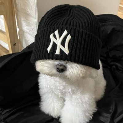 yijuug's profile picture. Food/Charity These are wonderful things for people.