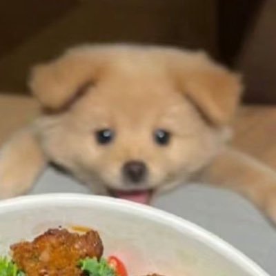 eviie0's profile picture. NO AI 🤖❌ | learning artist. sometimes i do paintery style and sometimes i do clean style