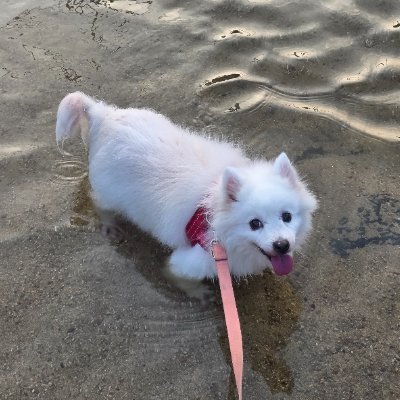 abntop21's profile picture. 투자, 건축현장설계
달리기 하면서 사진찍고 아무기록합니다.
팔로우 주시면 왠만해서는 무적권 맞팔갑니다.