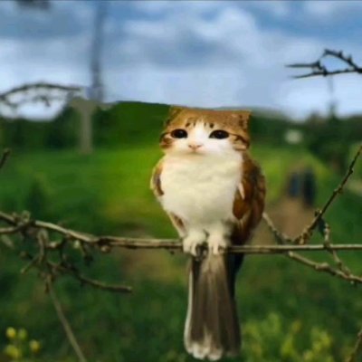 ColonialBard's profile picture. math, ml infra, hpc stuff and stuff
footy and tennis after hours