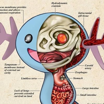 UnitXeroo's profile picture. 