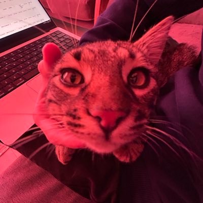 bugragkck's profile picture. 