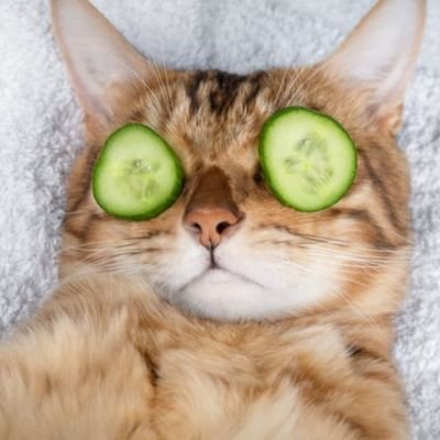 gow__Ty's profile picture. 🏷️K-POP SHOP - BTS/#WTS-Tickets live sales 📩 for 🎫 dm, tickets resell-local and international fans 📥. Leave feedback after purchase❤️❤️