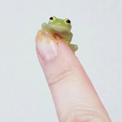 rq_bq9's profile picture. 