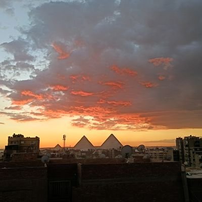 SayedElhas75977's profile picture. 