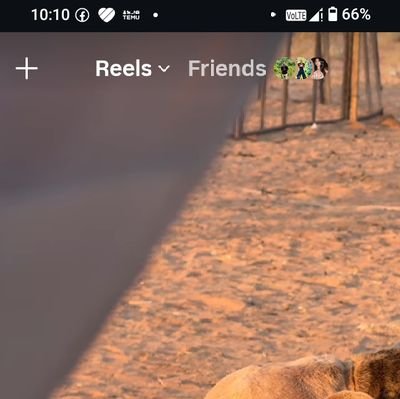 RabbiKhan771328's profile picture. 