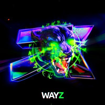 Wayz ⁷ᵏ Profile