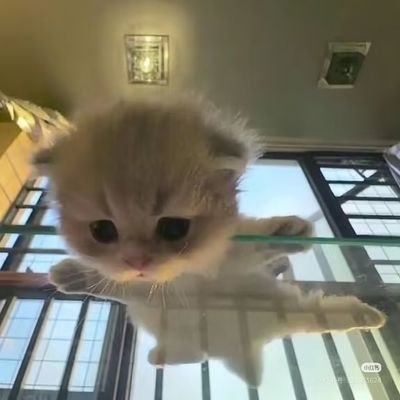 1liyac1's profile picture. 想谈一些姐姐哥哥🥺