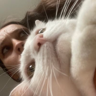 lou_pugliese's profile picture. 