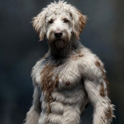 HobbyOfHeritage's profile picture. STARDAWGS AMBASSADOR - NOT STAFF - NFA