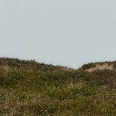 fionalengg's profile picture. Internet user