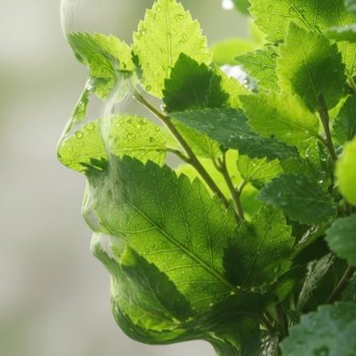 saudiaspire's profile picture. A man of the world, who's mission is to live and let live! https://t.co/if4WzEwXv3