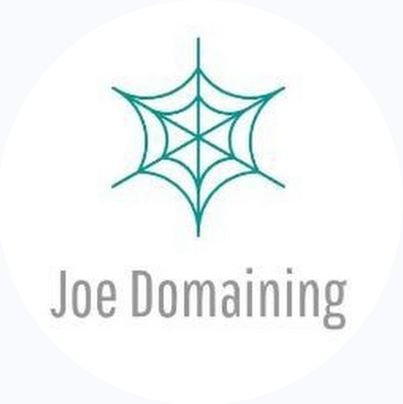 Trumpwining2024's profile picture. Joe Domaining