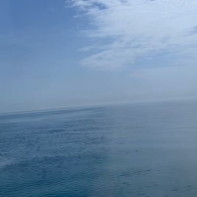 Arya591150's profile picture. 