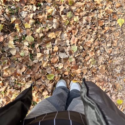 pofidikgamzelii's profile picture. 