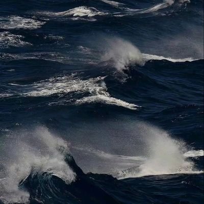 Mikaelsonc8053's profile picture. 