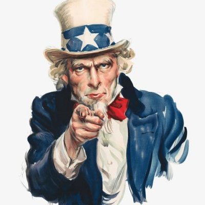 rugshop24's profile picture. 