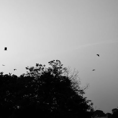 IamMcKelly's profile picture. 🎮