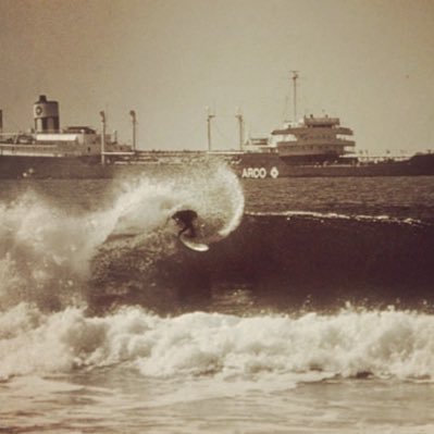 Policykook's profile picture. 