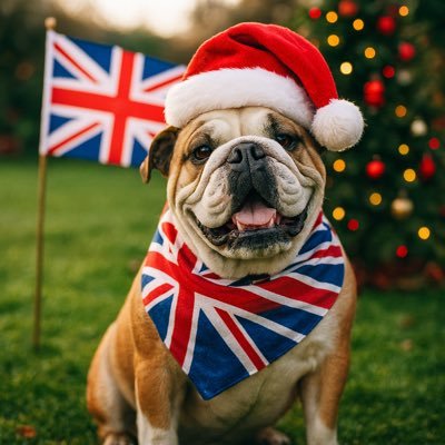 stuey_beef's profile picture. I believe Britain can be great again but not without major surgery. Reform voter as we need a change of direction. No DM's pls. Opinions are my own.