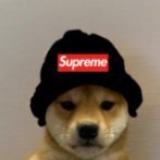 rasmuus10's profile picture. 