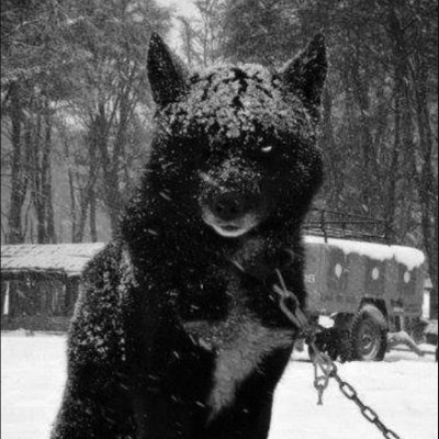 czbfn's profile picture. 🇬🇧 | 7x Grands