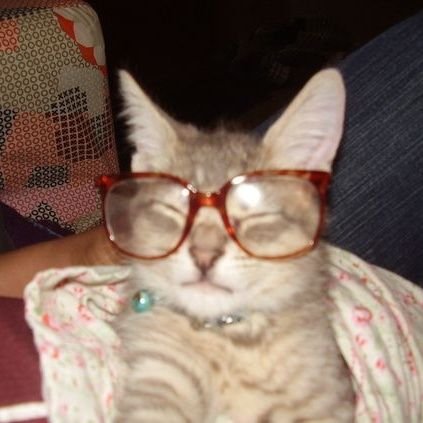 seraphiminae's profile picture. he/they lesbian | 19 | dnptwt lurker